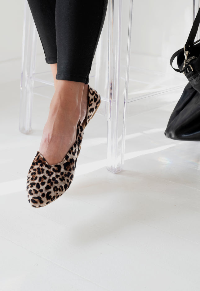 Velvet Laura Shoes (Leopard)